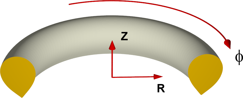 JOREK coordinates